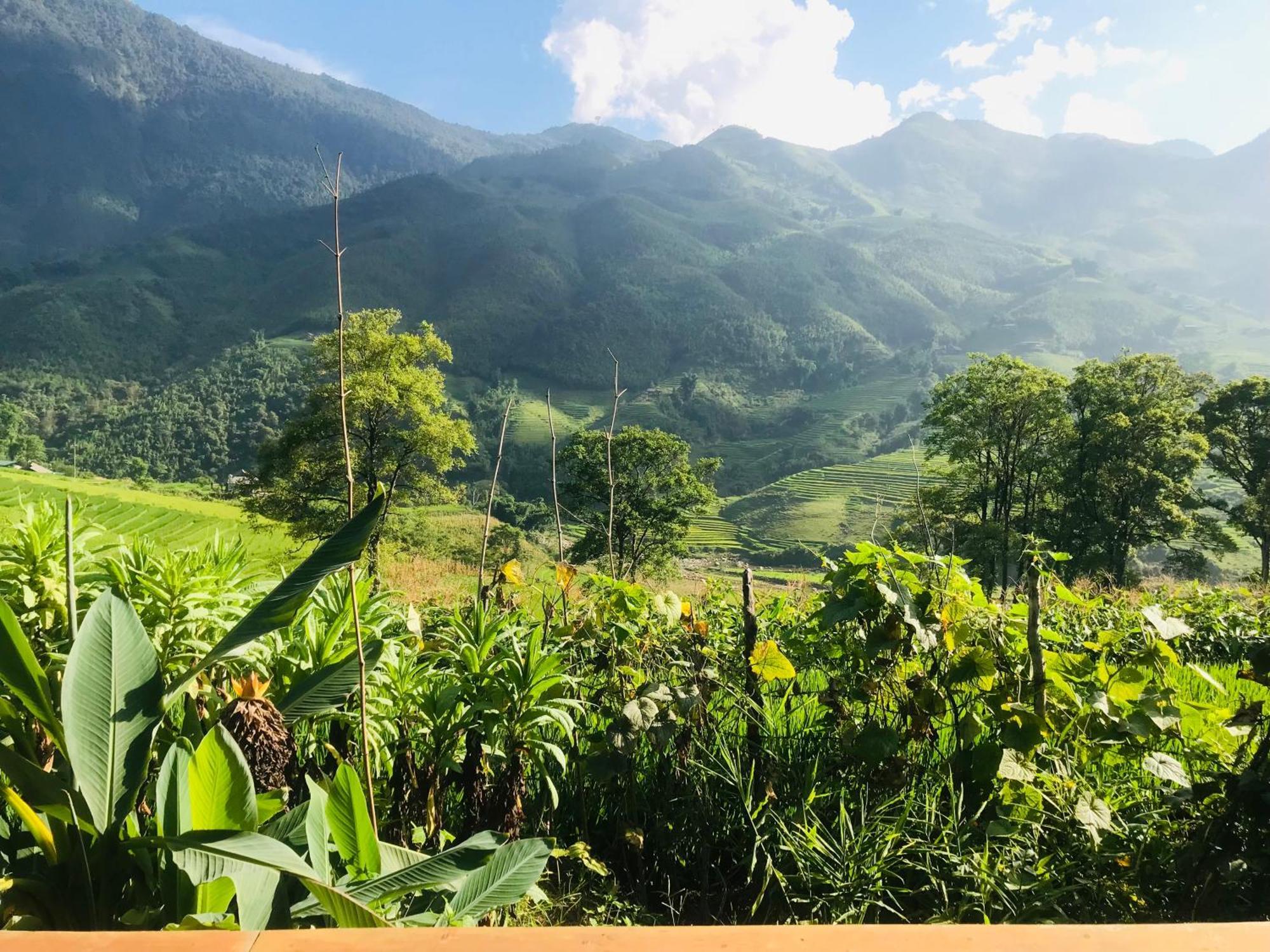 Sapa Hmong Bungalow Homestay الغرفة الصورة