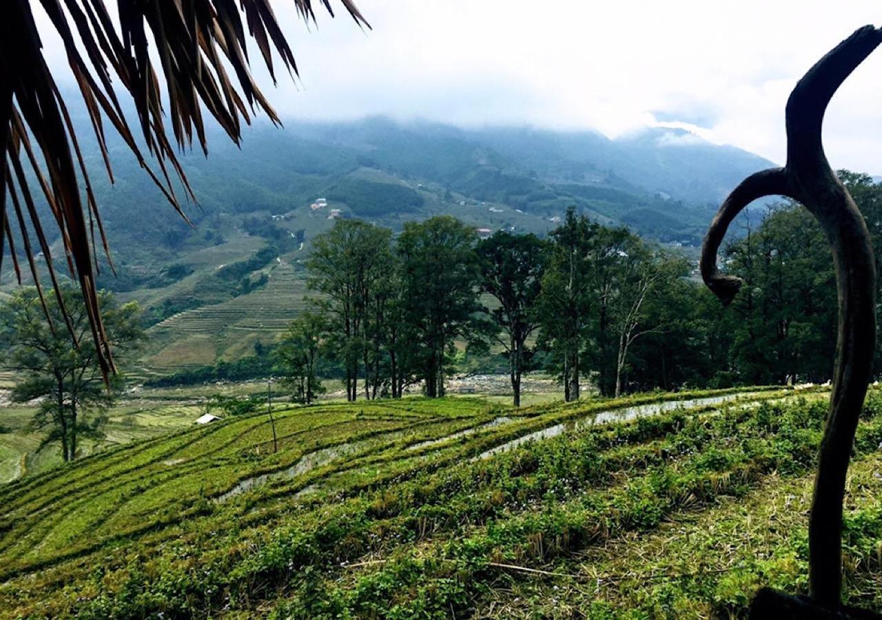 Sapa Hmong Bungalow Homestay المظهر الخارجي الصورة