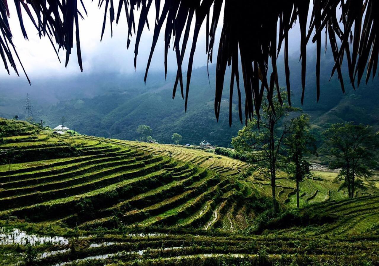 Sapa Hmong Bungalow Homestay المظهر الخارجي الصورة
